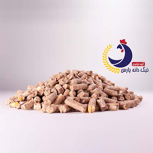 Animal Feed